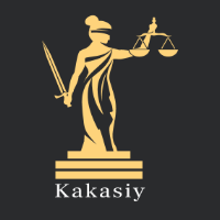 Professional Legal Support Kakasiy